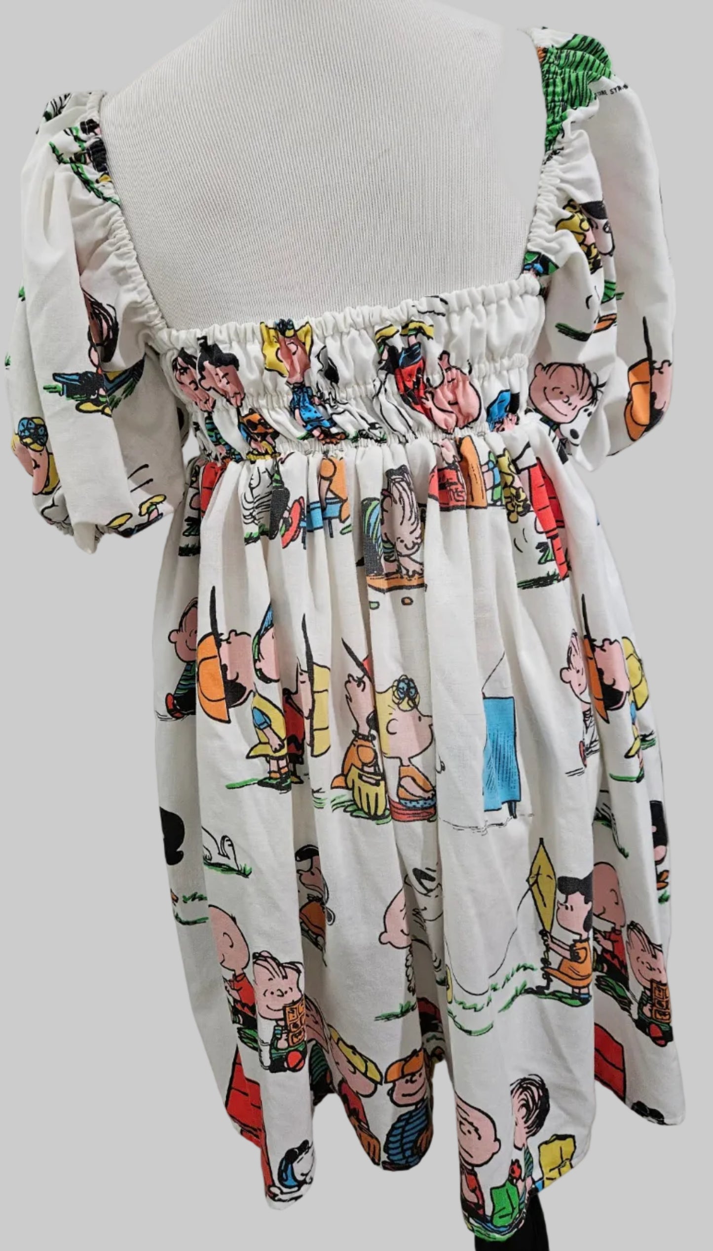 Beagle Dog Dress